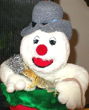 Chinook with Frosty