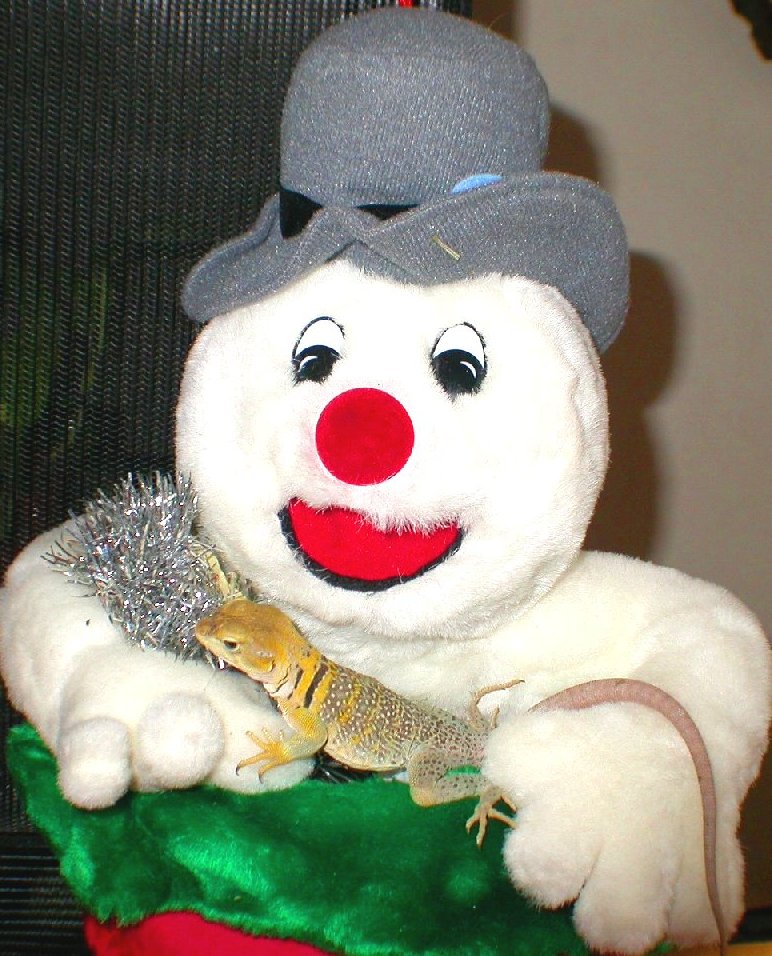 Chinook with Frosty