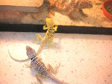 Waiting for their Friend  to come out
