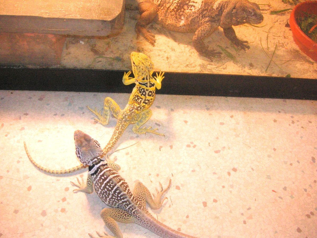 Waiting for their Friend  to come out