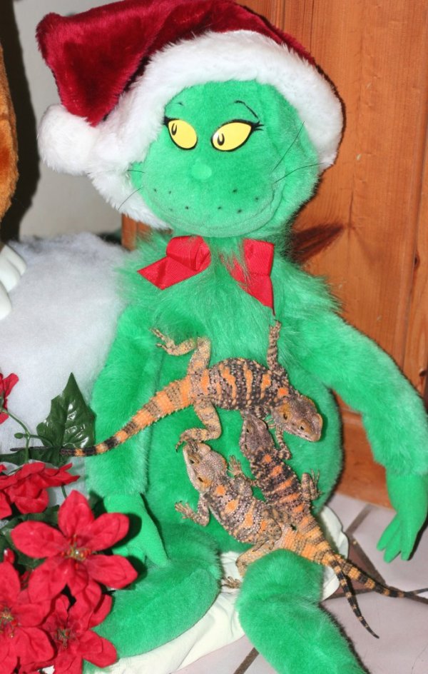 Jingles Jangles and Dingle Bell  with the GRINCH
