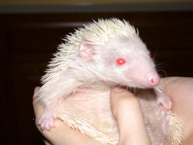 Squirmy Ol' Einstein