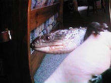 Lils jaw sore