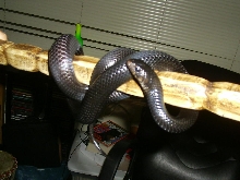Hanging Around