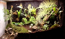 new tank
