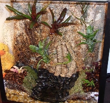 vent tank