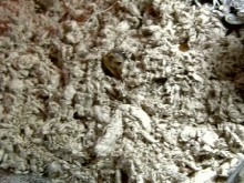 more
