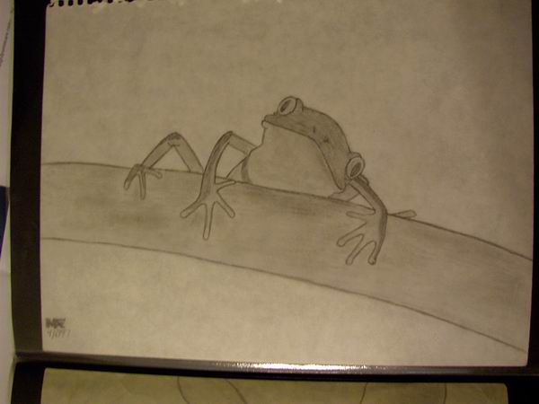 tree frog'97