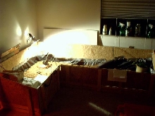 neil's house