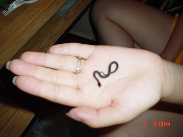 smallest snakes baby