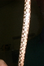 rat snake