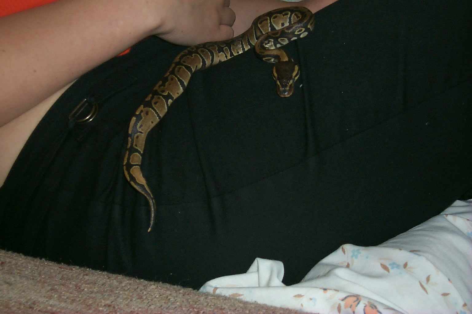 Kai male or female ?