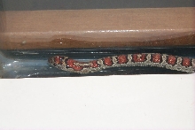 tequilla our new mex-mex kingsnake