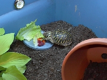 Eating