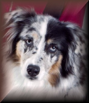Lily