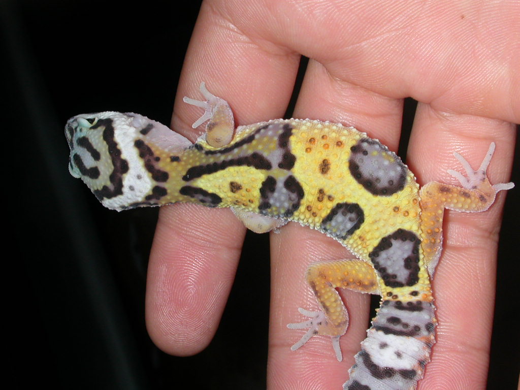 Little baby on hand