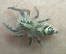 my jumper