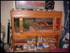 New Cage