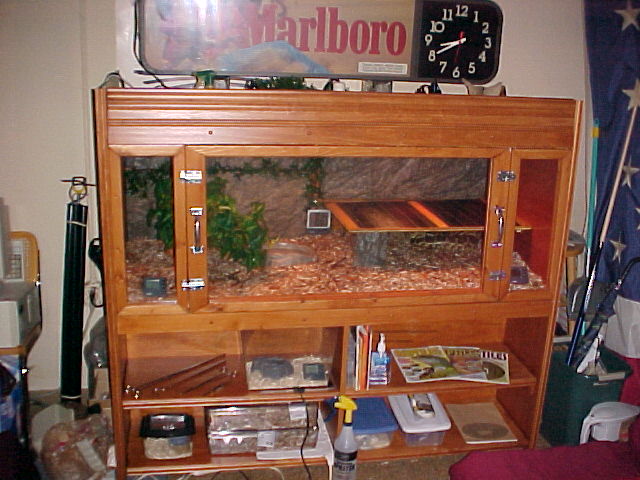 New Cage
