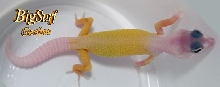 Banana Boy