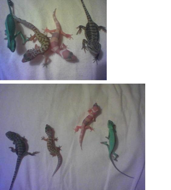 My new babies!
