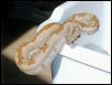 2002 female