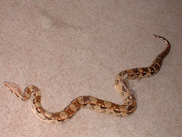 heres another of her