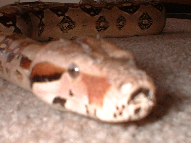 shes not camera shy