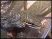 Feeding sequence 10