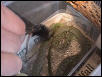 Feeding sequence 2