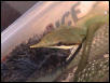 Feeding sequence 5
