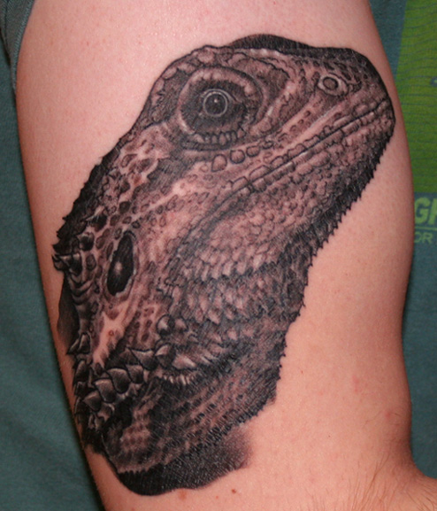 Bearded Dragon Tattoo