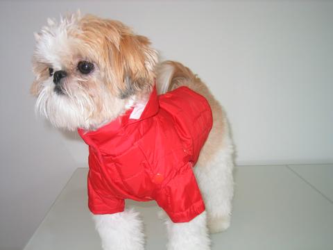 Karlton modeling