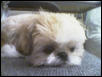Karlton pouting