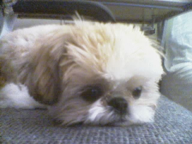 Karlton pouting