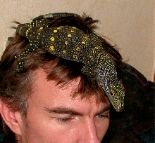 Croc'y-top