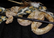 Hog Island Boa