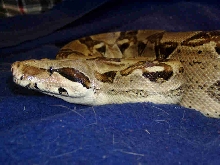 Soyola checking me out