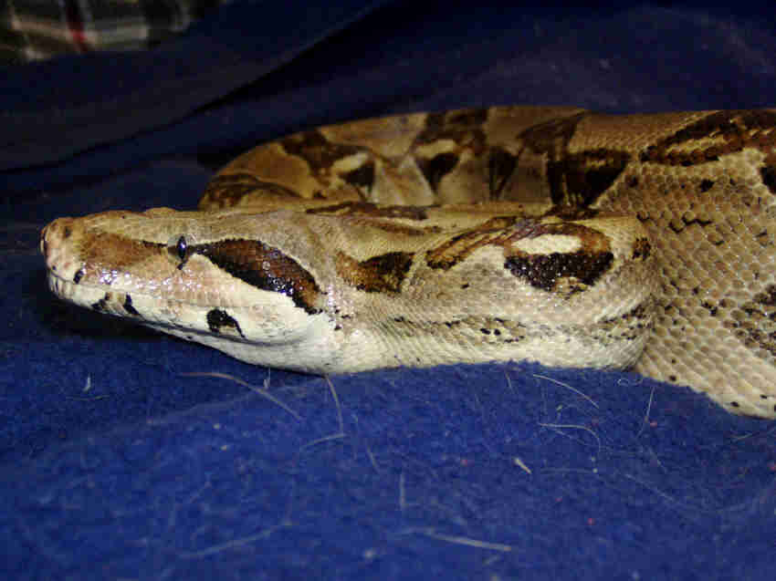 Soyola checking me out