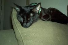 Angy Sleeping