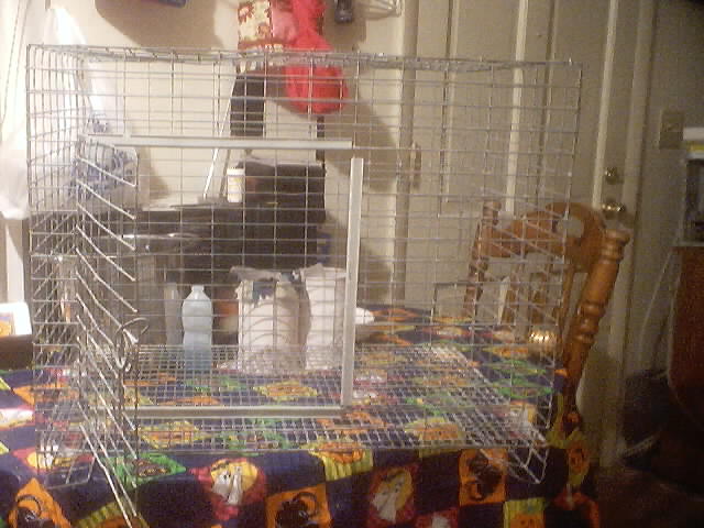 cage