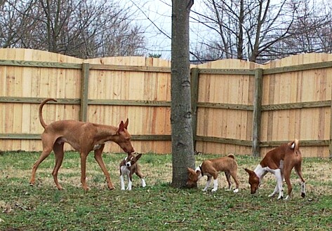 the family