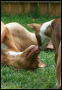 sweet kiss