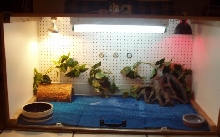 Hef's Cage