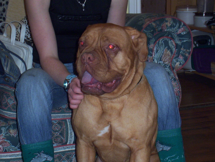 Roxy
