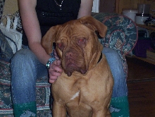 Roxy