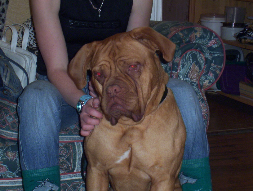 Roxy