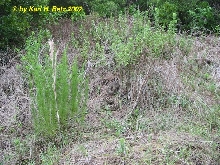 Habitated habitat