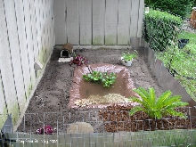 Turtle Enclosure