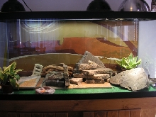 Collareds' new cage